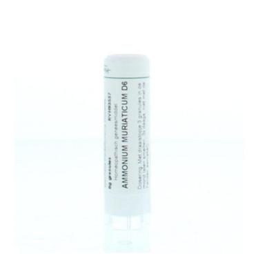 Ammonium muriaticum D6