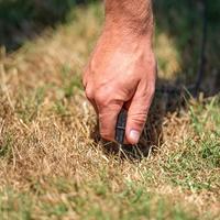 Gallagher Neontester - 501017 501017 - thumbnail