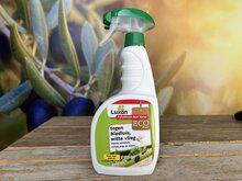 Luxan; tegen bladluis, witte vlieg en meer Luxan; tegen bladluis, witte vlieg en meer