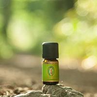 Primavera Den arve bio 5 Milliliter - thumbnail