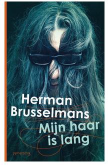 Mijn haar is lang - Herman Brusselmans - ebook