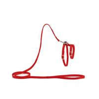 Beeztees Kattentuigje Rood 130cm x 10mm - thumbnail