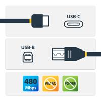 StarTech.com USB-C naar USB-B printerkabel - M/M - 3 m - USB 2.0 - thumbnail