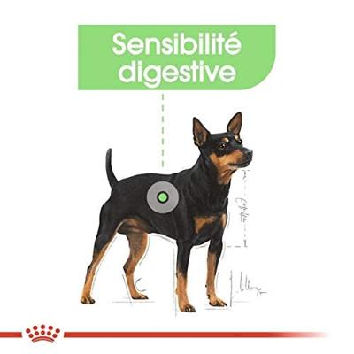 Royal Canin Digestive Care natvoer hondenvoer zakjes 12x85g - thumbnail