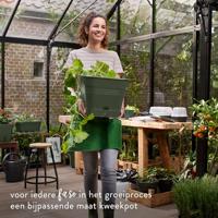 Elho green basics growpot square all-in-1 leaf green 15 - thumbnail