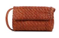 Allan K Dames  (Camel) - thumbnail