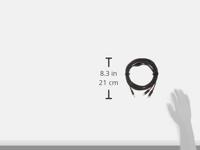 Cordial CFY 6 WCC Rean verloopkabel 2x RCA naar mini-jack 6m - thumbnail