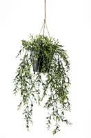 Kunstplant Buxus hangend in pot - 50cm - thumbnail