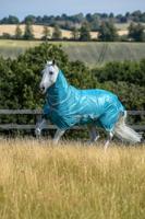 Vliegendeken Bucas Freedom Fly Sheet, 215 cm in turquoise - thumbnail