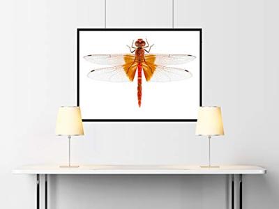 Auhagen 52413 H0, TT Kunststof platen Geel (l x b) 200 mm x 100 mm Kunststof model - thumbnail