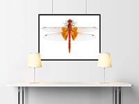 Auhagen 52411 H0, TT Kunststof platen Grijs (l x b) 200 mm x 100 mm Kunststof model - thumbnail