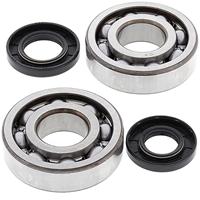 ALL BALLS Racing krukas lagerset crankshaft bearing set ab 24-1010 with simmerrings - thumbnail