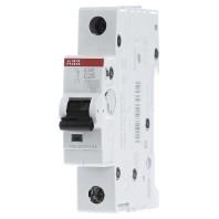 ABB 2CDS251001R0254 S201-C25 Zekeringautomaat 1-polig 230 V - thumbnail