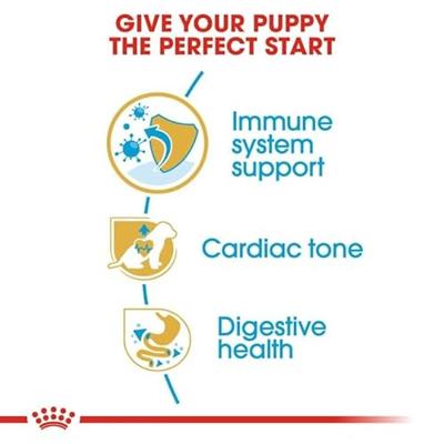 Royal Canin Cavalier King Charles voer voor puppy 1.5kg