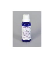 Syntheses 21 horen - thumbnail