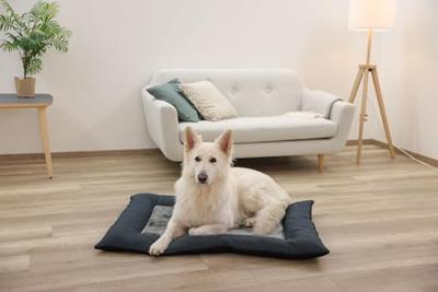 KERBL - Materasso in memory foam L - 80 x 55 x 9 cm - Cuscino PLATIN ORTHO - Grigio -