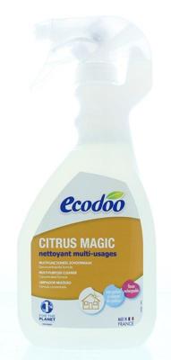Ecodoo Schoonmaakmiddel citrus bio 500 Milliliter Ecodoo Schoonmaakmiddel citrus bio 500 Milliliter