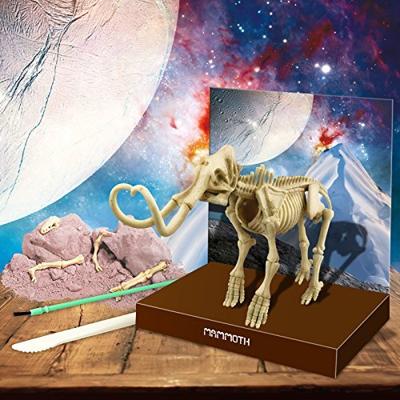 4M graaf je eigen dinosaurus op de Mammoet kidzlabs