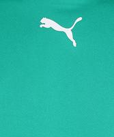 PUMA teamRISE Voetbalshirt Groen Zwart Wit - thumbnail