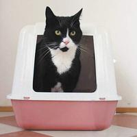 HG Tegen Kattenbakgeur 500ml - thumbnail