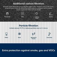 Air Naturel Classic 400 Series SmokeStop Filter Luchtreinigerfilter - thumbnail