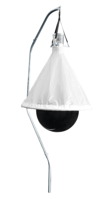 Dazenval TaonX compleet