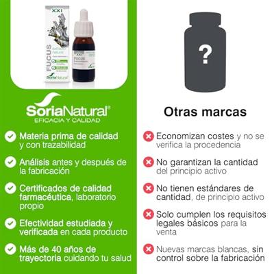 Fucus vesiculosus XXI