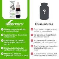 Fucus vesiculosus XXI - thumbnail