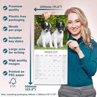Fox Terrier Kalender 2026 - thumbnail