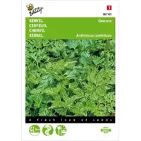 Kervel Gewone - thumbnail