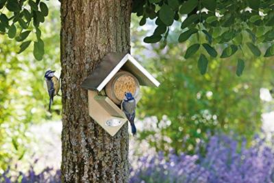Vogelhuis pindakaas Esschert Design Best for Birds - Best for birds - thumbnail