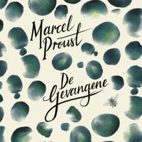 De gevangene - thumbnail