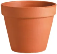 Mega Collections Terracotta Bloempot Ø5cm - thumbnail
