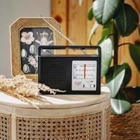 Radio Adler - thumbnail