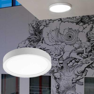 SG rond armatuur Disc 290 wit 2700k 17W 1890 lumen sensor 288mm doorsnede bewegingssensor