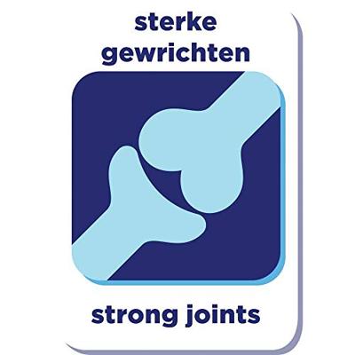 Renske Senior Graanvrij Super Premium vers bereid kalkoen hondenvoer 2 kg