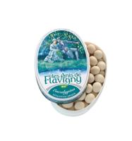 Anis De Flavigny Pastilles Eucalyptus - thumbnail