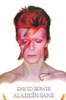 Poster David Bowie - Aladdin Sane 61x91,5cm - thumbnail