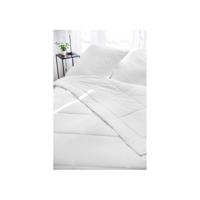 TOISON D'OR - Silkydor gematigd dekbed (280g/m²) - 220x240cm - Gematigde warmte - Katoen en moerbeizijde - 2 personen - Wit - thumbnail