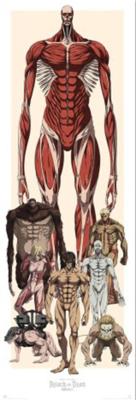 Poster Attack on Titan - 53x158cm