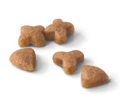 Royal Canin Regular Sensible 33 kattenvoer 10 + 2 kg Royal Canin Regular Sensible 33 kattenvoer 10 + 2 kg