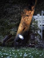 Nordlux 20789903 Spotlight Tuinschijnwerper LED, Halogeen GU10 35 W Zwart - thumbnail