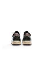 Ara 1254801 - alle - thumbnail