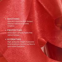 MZ Skin Vitamin-Infused Facial Treatment Mask Set 60 ml Heren - thumbnail