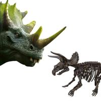 SES explore dino en skelet opgraven 2in1 - triceratops - thumbnail