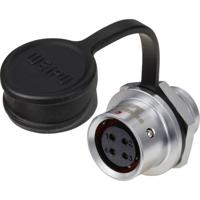 Weipu SF1212/S4 Ronde connector Koppeling, recht Totaal aantal polen: 4 Serie (ronde connectoren): SF12 1 stuk(s) - thumbnail