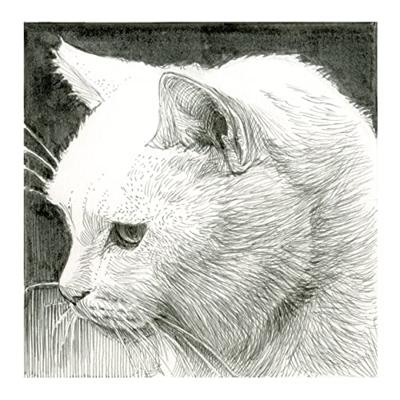 Sakura • pigma brush zwart