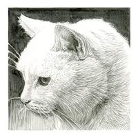 Sakura bruhspen Pigma Brush, zwart - thumbnail