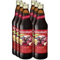 Rabenhorst Detox sap bio 750 Milliliter - thumbnail