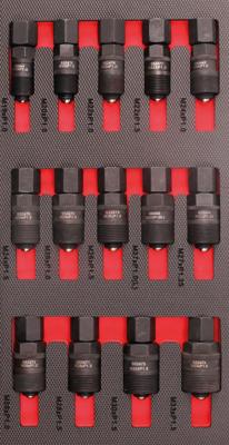 Bikeservice module-inlay "abzieher polrad" moduleinl bst remover pol outside 14tlg